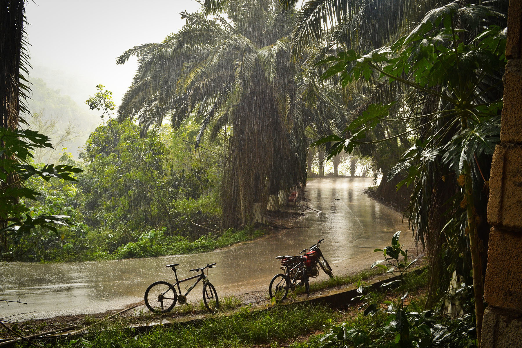 tropical rain shower while cycling in xishuangbanna yunnan china