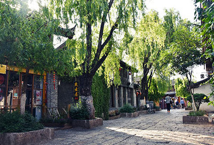 sun shines through trees in old street in Lijiang Old Town yunnan china