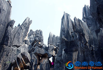 Kunming Yunnan Shilin Stone Forest