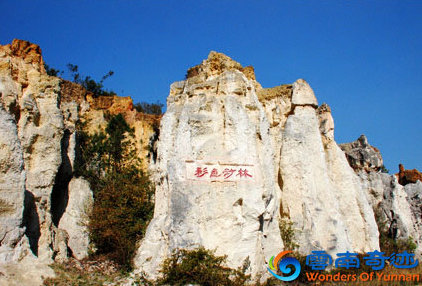 Qujing Liulang Sand Forest Yunnan