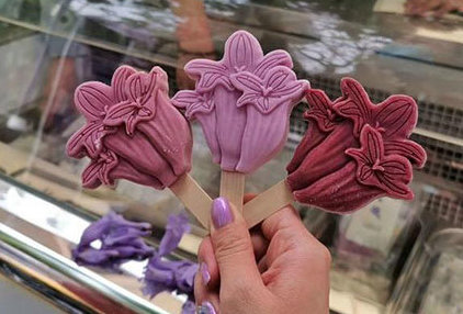 jacaranda flower ice cream