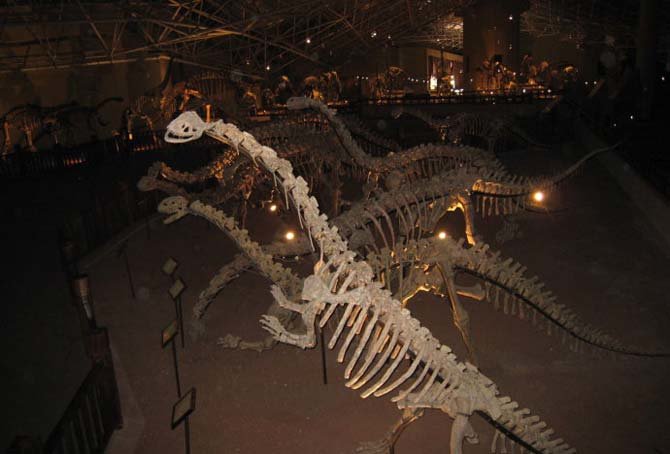 Lufeng Dinosaur Museum 2