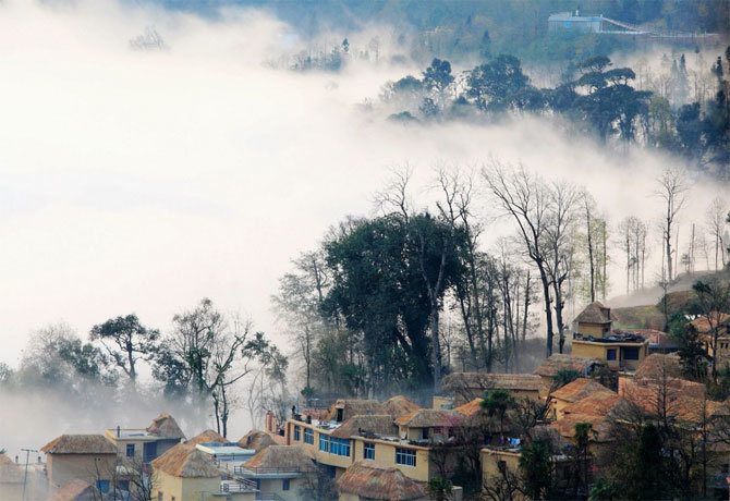 Rice Terraces in Yunnan 1