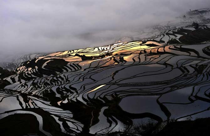 Rice Terraces in Yunnan 2