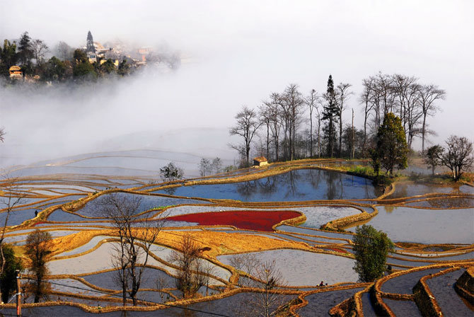 Rice Terraces in Yunnan 5