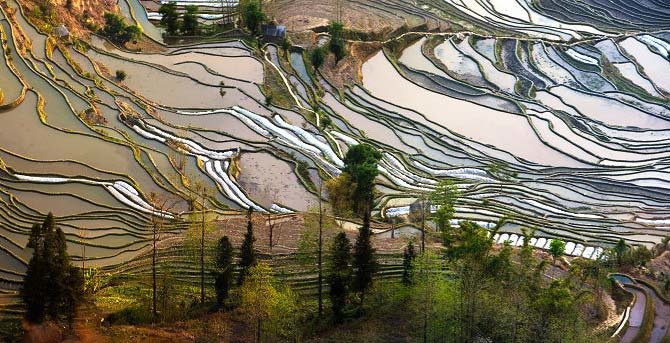 Rice Terraces in Yunnan 6