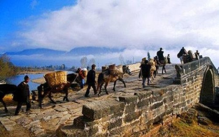 ancient tea horse road caravan with horses and mules in yunnan crossing a bridge