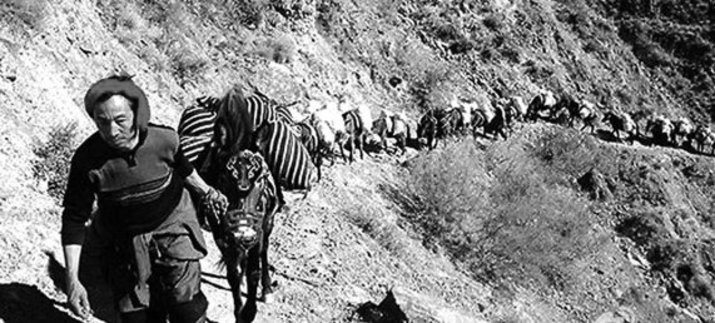 maguotou leading the caravan on the ancient tea horse narrow old trail through mountains