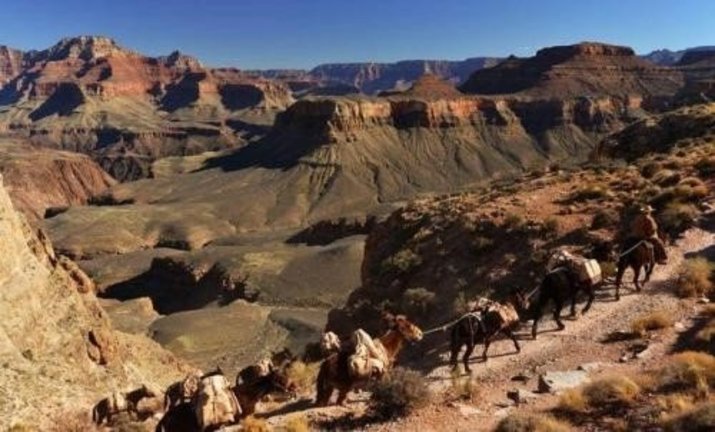 caravan on the ancient tea horse road through dry mountainous regions