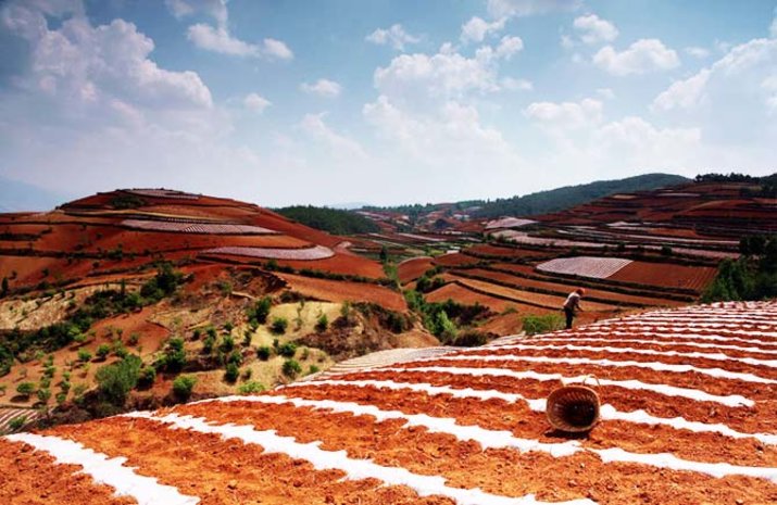 Dongchuan 5