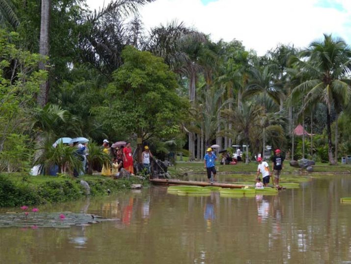 Xishuangbanna Tropical Botanical Garden 3