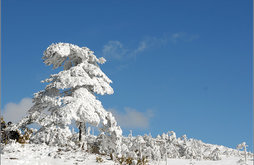 Jiaozi Snow Mountain