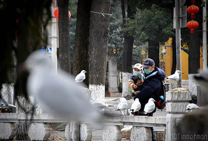 people wearing face masks at green lake park kunming during covid-19 corona virus outbreak